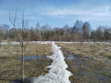 Смартфон Honor X8:, фото 54
