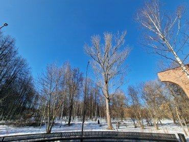 Смартфон Samsung Galaxy S22 Ultra:, фото 64