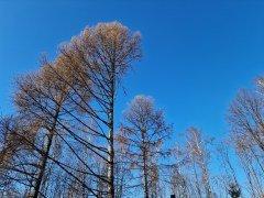 Смартфон Samsung Galaxy S22 Ultra:, фото 58
