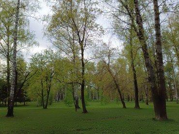 Смартфон Poco M4 Pro:, фото 51