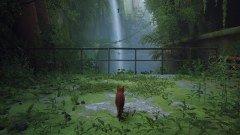 Что умеют современные видеокарты в современных играх: Stray., фото 44