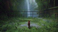 Что умеют современные видеокарты в современных играх: Stray., фото 45