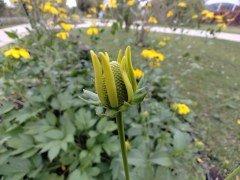 Nothing Phone (1):, фото 78