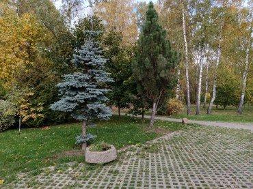 Смартфон Infinix Note 12 Pro:, фото 39