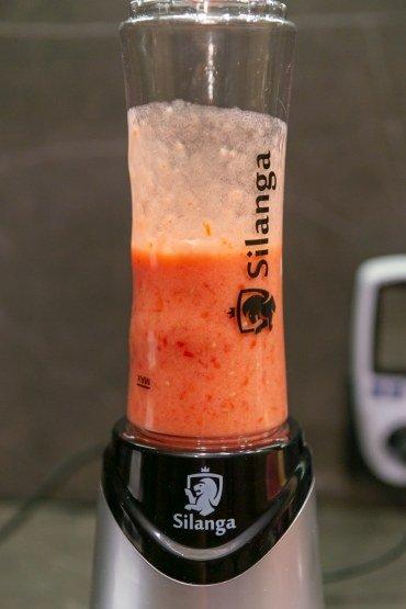Стационарный блендер Silanga BL550 Smoothie maker:, фото 19