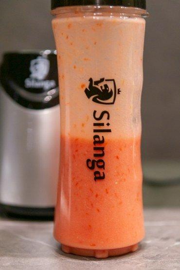 Стационарный блендер Silanga BL550 Smoothie maker:, фото 20