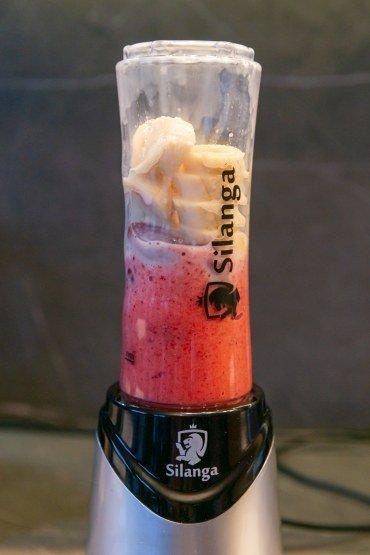 Стационарный блендер Silanga BL550 Smoothie maker:, фото 28