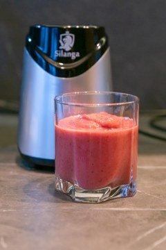 Стационарный блендер Silanga BL550 Smoothie maker:, фото 32