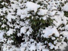 Смартфон Huawei Mate 50 Pro:, фото 65