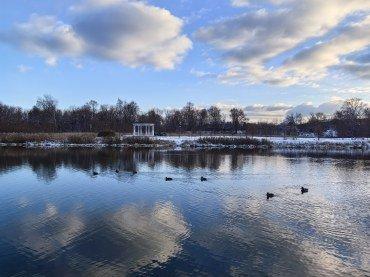 Смартфон Huawei Mate 50 Pro:, фото 55