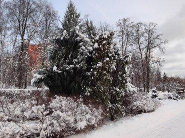 Смартфон Huawei Mate 50:, фото 53