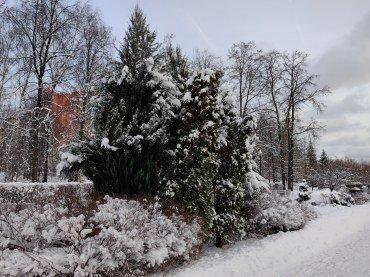Смартфон Huawei Mate 50:, фото 54