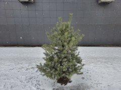 Смартфон Samsung Galaxy S23 Ultra:, фото 42