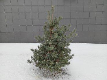 Смартфон Honor X7a:, фото 52