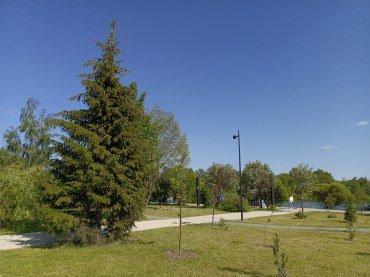 Смартфон Infinix Note 30 Pro:, фото 51