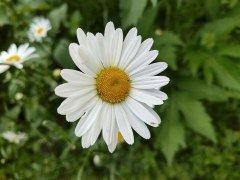 Флагманский смартфон Realme GT3:, фото 56