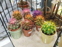 Смартфон Vivo V29e 5G:, фото 52