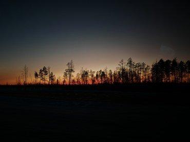 Смартфон Honor Magic6 Pro:, фото 70
