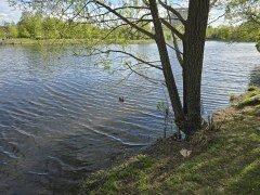 Смартфон Samsung Galaxy S24 Ultra:, фото 54