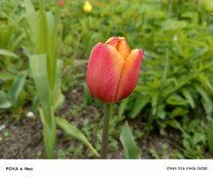 Смартфон Tecno Pova 6 Neo:, фото 44