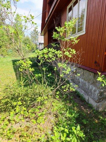 Аккумуляторный садовый опрыскиватель GPT DF-B5Li:, фото 22