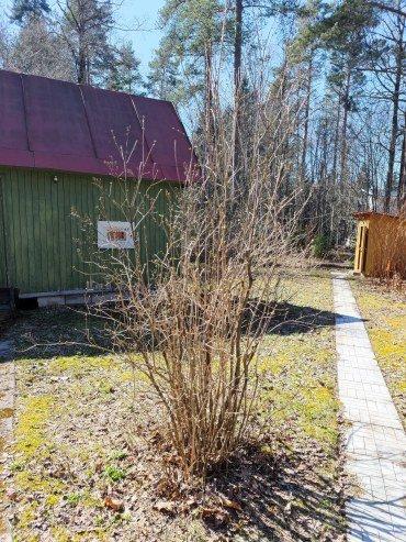 Аккумуляторный садовый опрыскиватель GPT DF-B5Li:, фото 27
