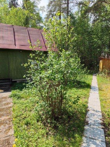 Аккумуляторный садовый опрыскиватель GPT DF-B5Li:, фото 28
