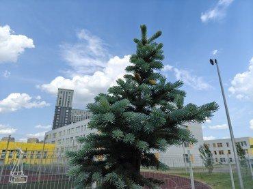 Смартфон Realme GT 6:, фото 47