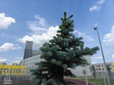 Смартфон Realme GT 6:, фото 46