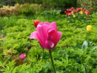 Смартфон Oppo Reno11F 5G:, фото 44