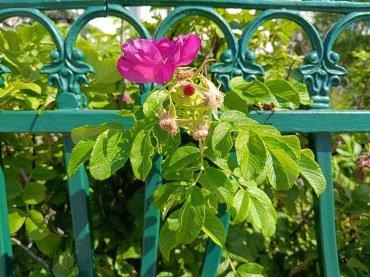 Смартфон Realme 12+ 5G:, фото 45