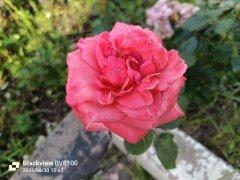 Смартфон Blackview BV8100:, фото 51