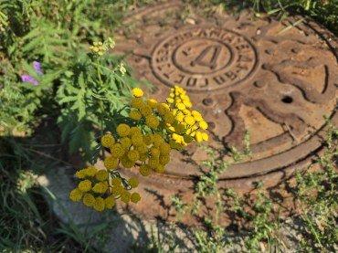 Смартфон Samsung Galaxy Z Fold6:, фото 30