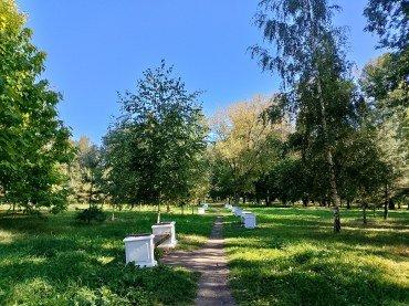 Смартфон Realme C61:, фото 38