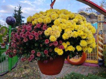 Смартфон Realme 13+:, фото 52