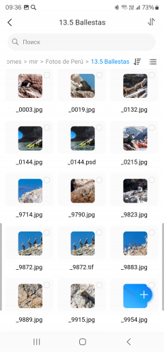 Сетевое хранилище (NAS) Terramaster F8 SSD Plus:, фото 138