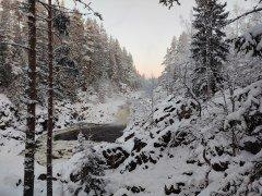 Смартфон Honor X9c:, фото 54