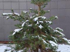 Смартфон iQoo Z9:, фото 54