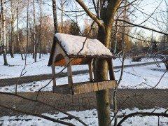 Смартфон iQoo Z9:, фото 61