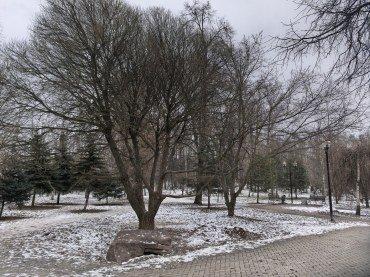 Смартфон Huawei Mate 70 Pro:, фото 41