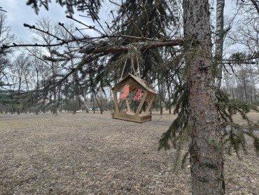 Смартфон iQoo 13:, фото 44