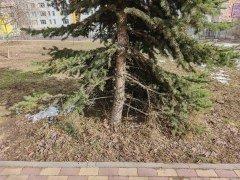 Смартфон Honor Magic 7:, фото 44