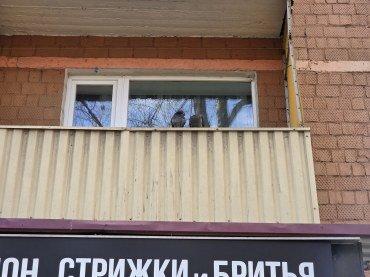 Смартфон Samsung Galaxy S25 Ultra:, фото 63