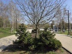 Смартфон Samsung Galaxy S25 Ultra:, фото 57