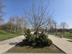 Смартфон Samsung Galaxy S25 Ultra:, фото 77