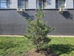 Смартфон Samsung Galaxy S25 Ultra:, фото 48