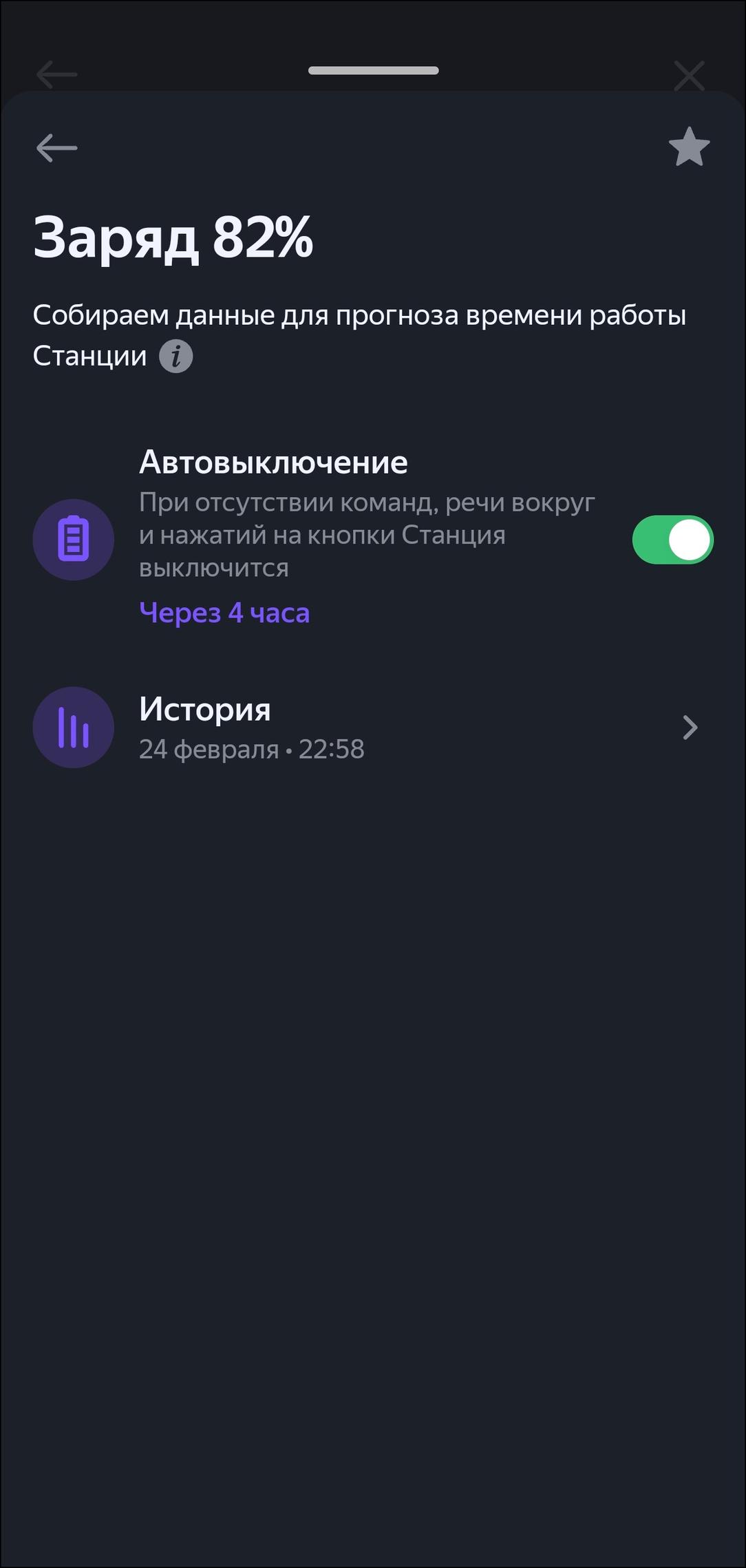 Портативная колонка «Яндекс Станция Стрит»:, фото 26