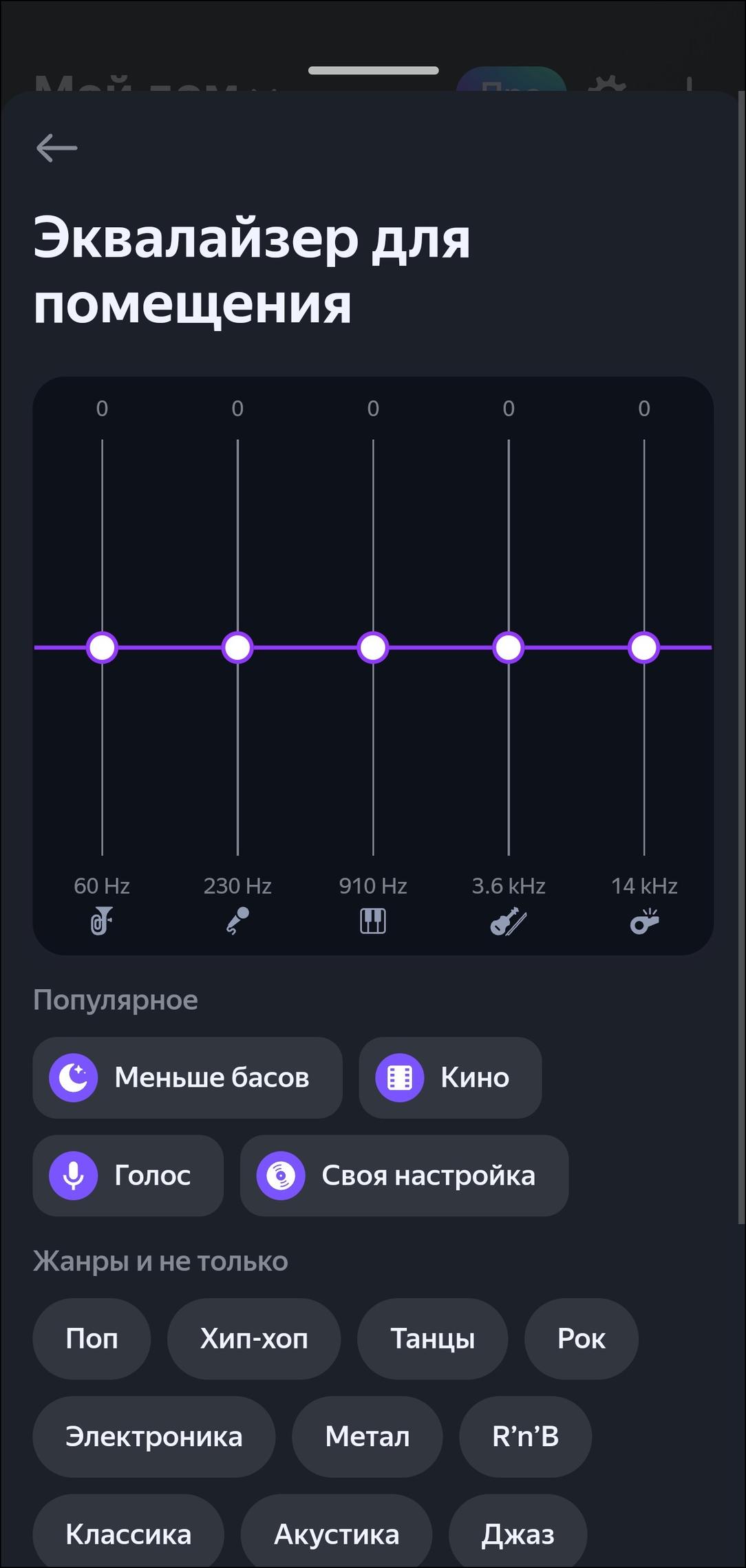 Портативная колонка «Яндекс Станция Стрит»:, фото 36