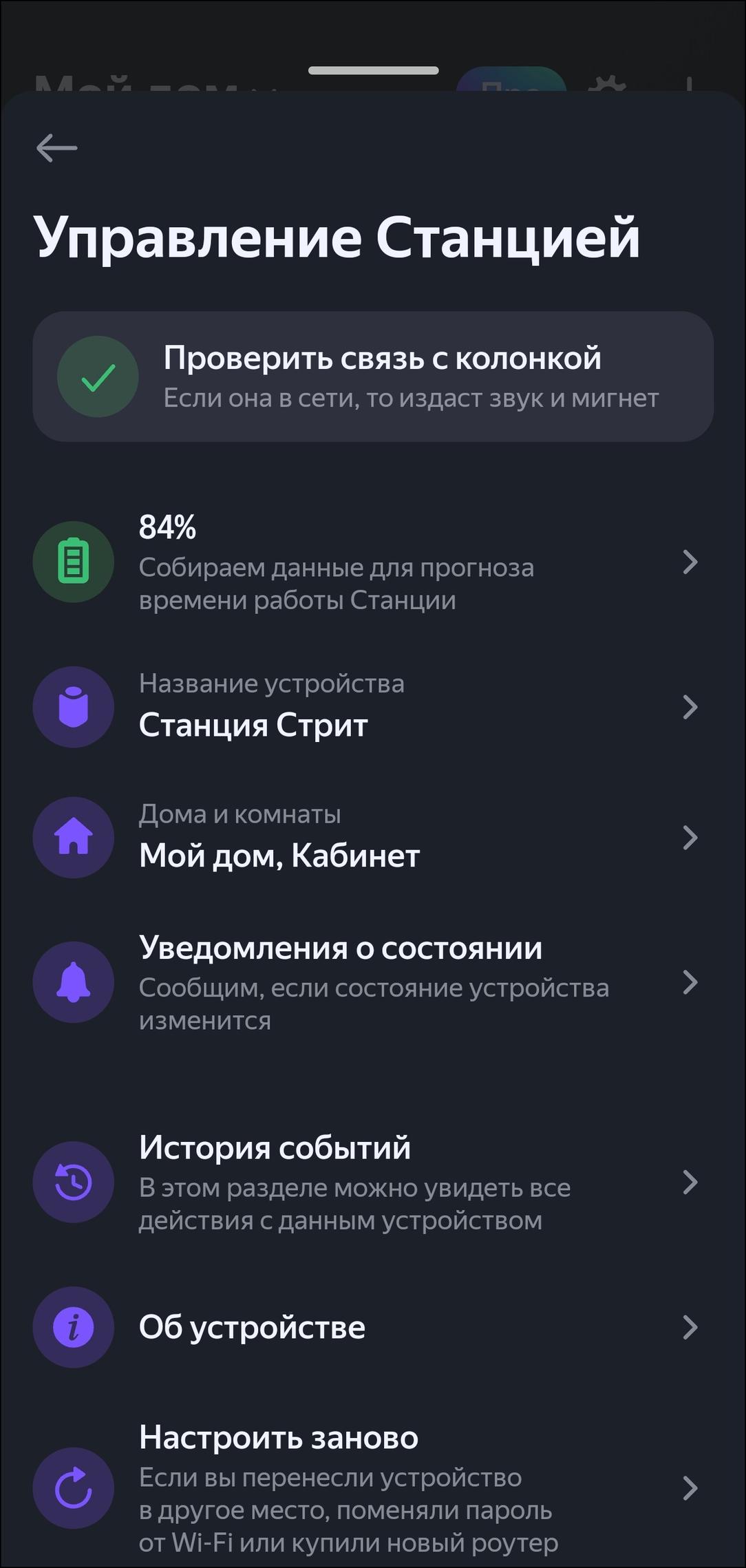 Портативная колонка «Яндекс Станция Стрит»:, фото 29