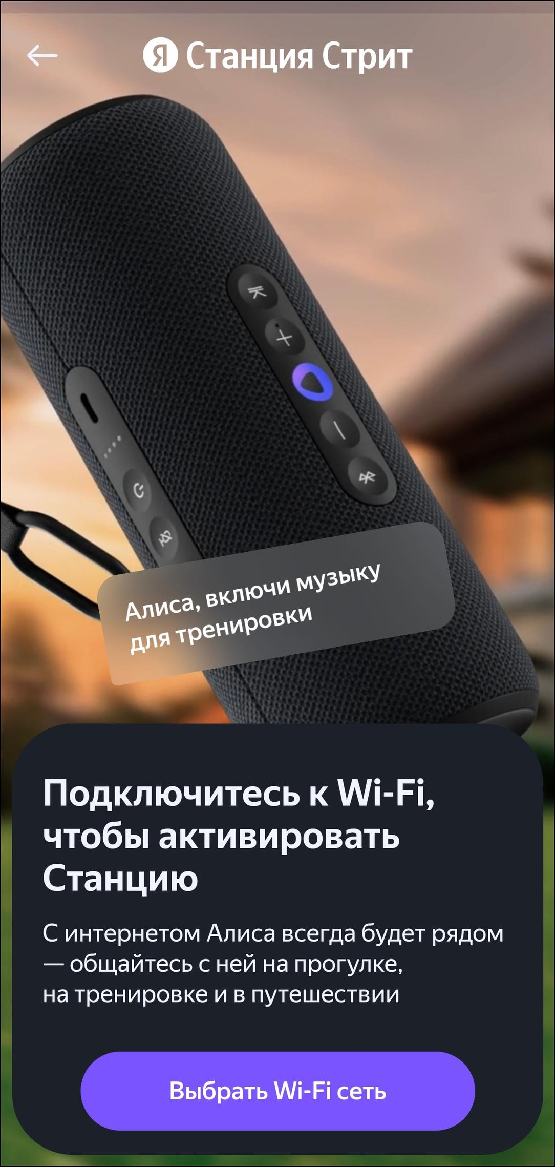 Портативная колонка «Яндекс Станция Стрит»:, фото 19
